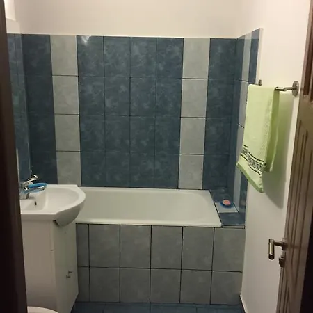 Apartman Alexandru *